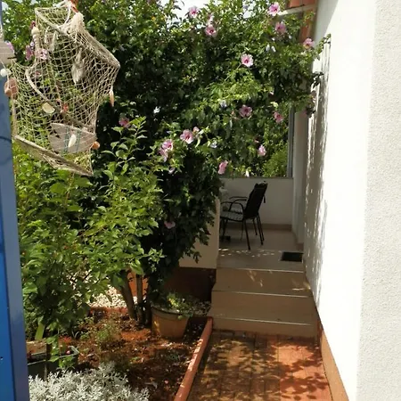 Vera * Fazana
